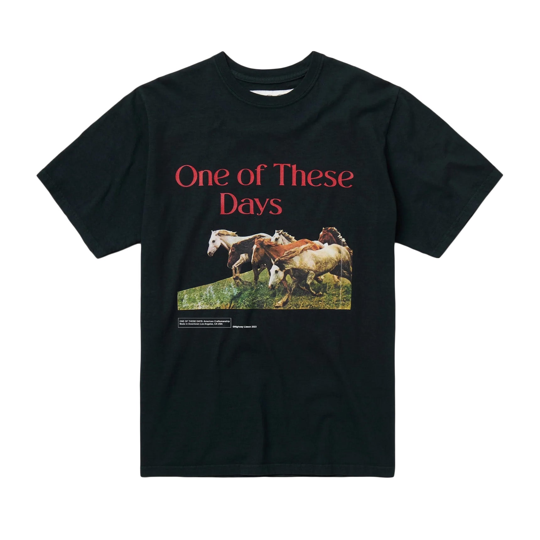 One Of These Days Wild Horses Short Sleeve T- Shirt 'Washed Black'