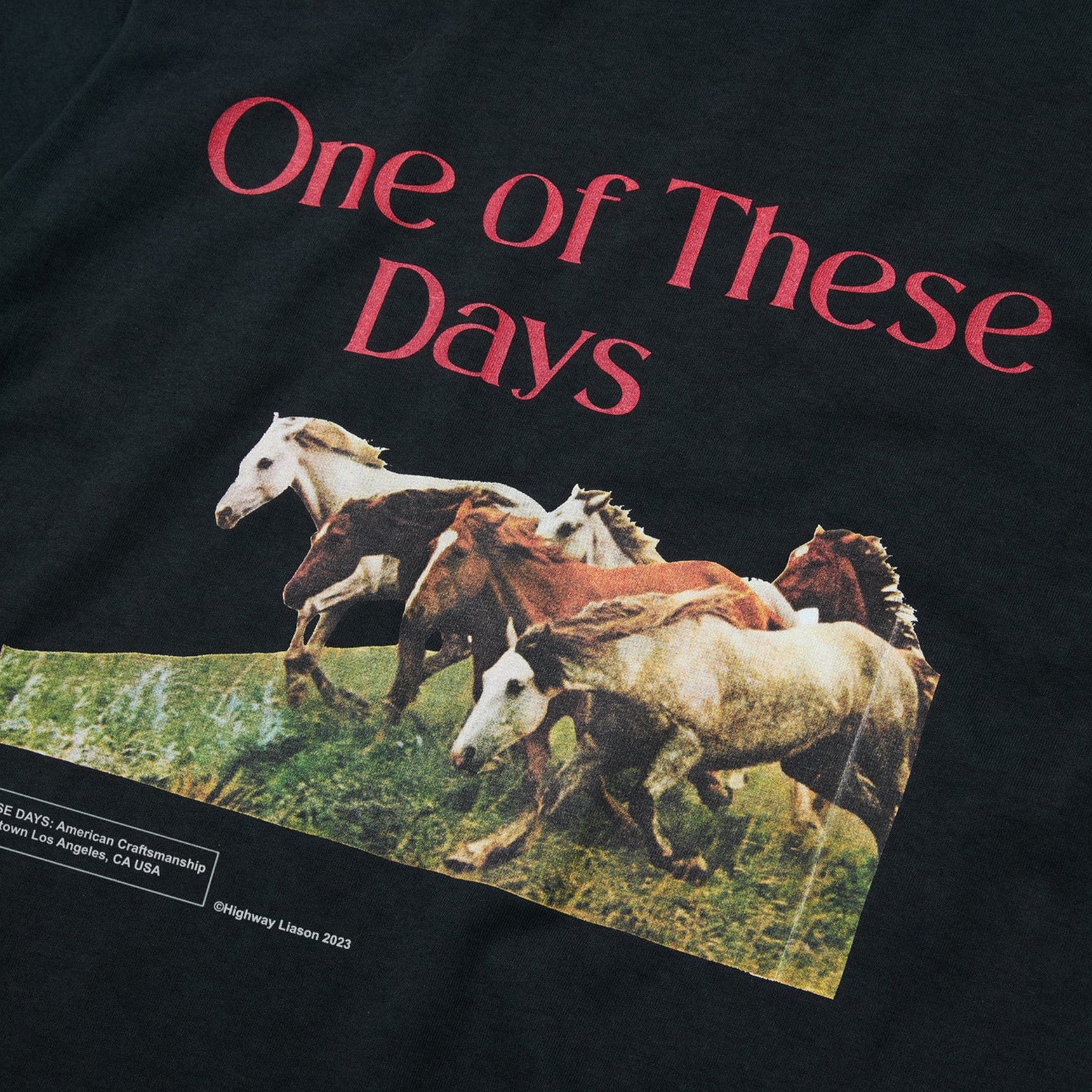 One Of These Days Wild Horses Short Sleeve T- Shirt 'Washed Black'